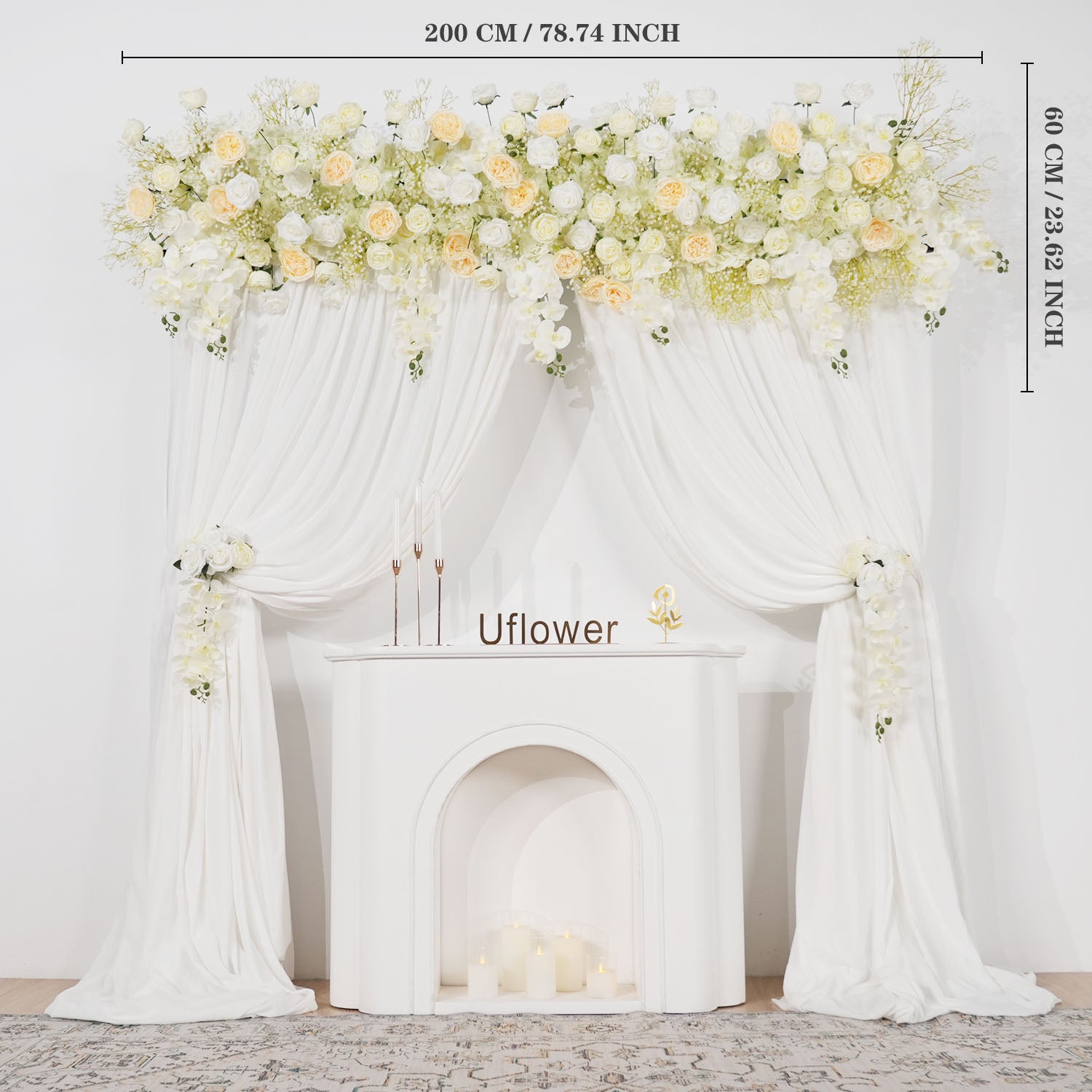 Cream White Butterfly Orchid Background Flower 1 picture