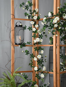 Simulated rose vine shading and winding indoor walls