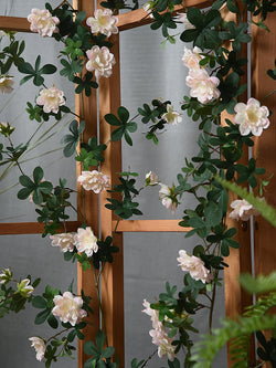 Simulated rose vine shading and winding indoor walls