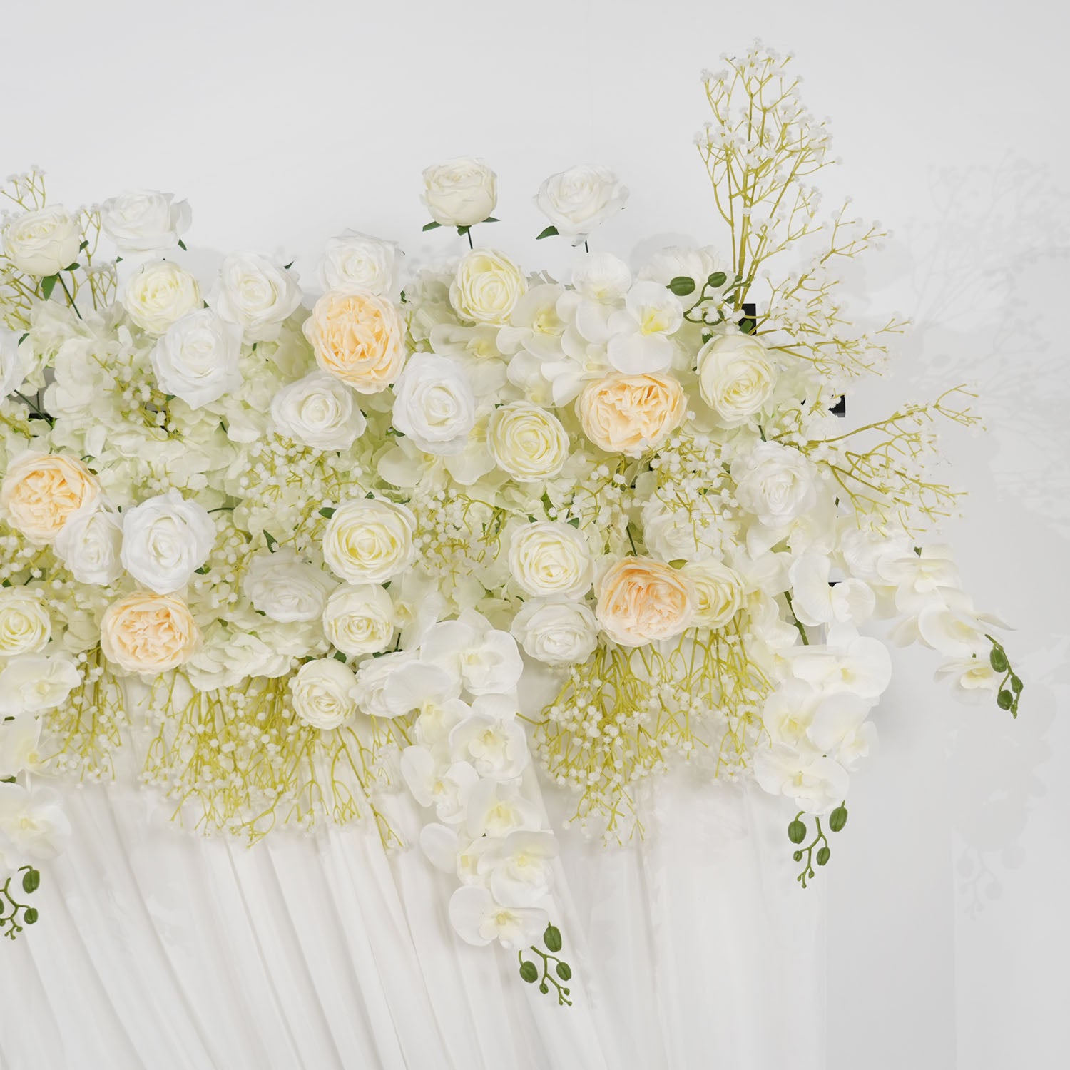 Cream White Butterfly Orchid Background Flower 5 picture