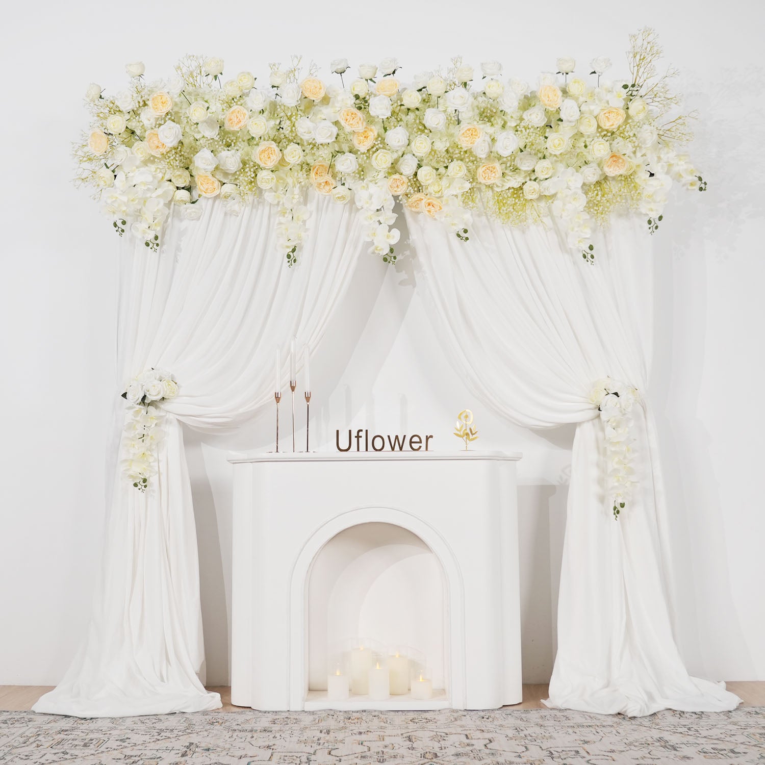 Cream White Butterfly Orchid Background Flower Main picture