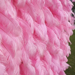 Wedding Pink Ostrich Feather Artificial Flower Wall