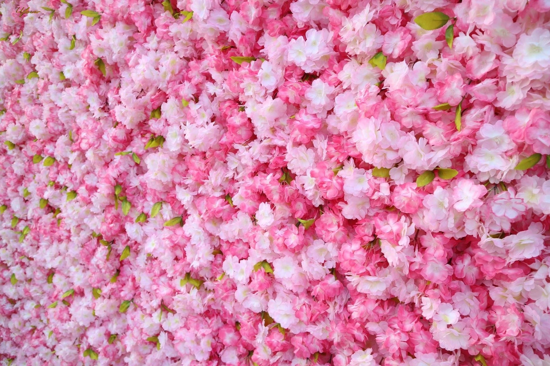 Wedding Pink White Sakura 5D Artificial Flower Wall