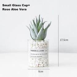 Simulated succulent home entrance living room decorations