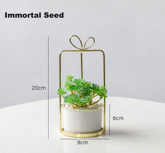 Portable simulation succulent indoor study and living room decoration