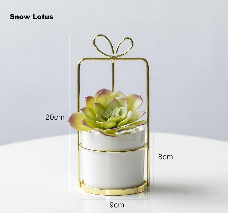 Portable simulation succulent indoor study and living room decoration