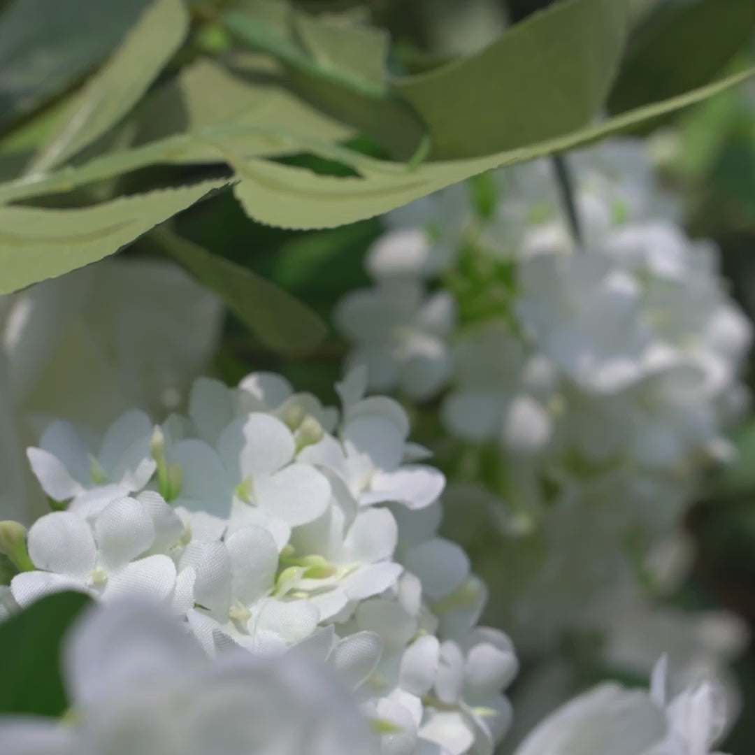 Uflower