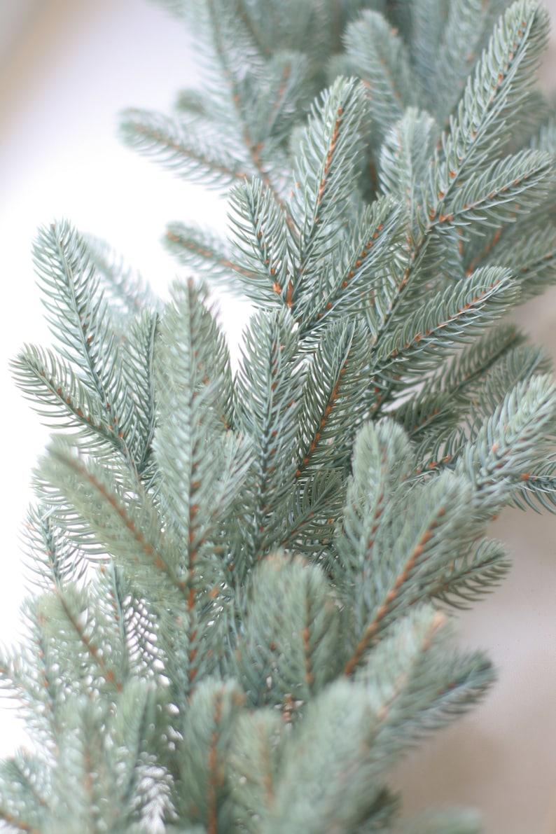 Greenery Garland  Christmas Decorations